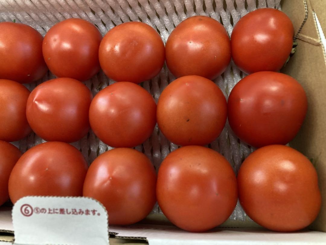 中玉トマト（フルーツルビー）2kg