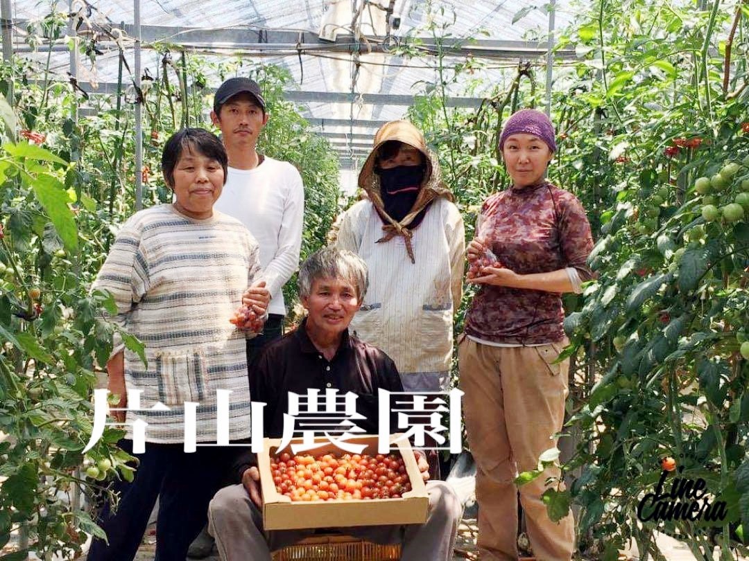 中玉トマト(フルーツルビー)2kg